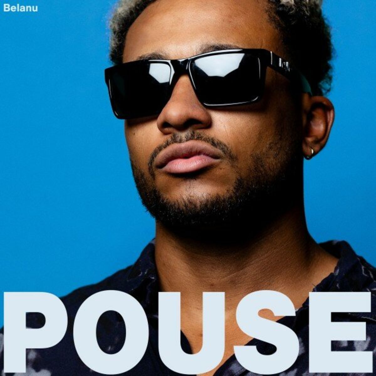 Album cover of Pouse