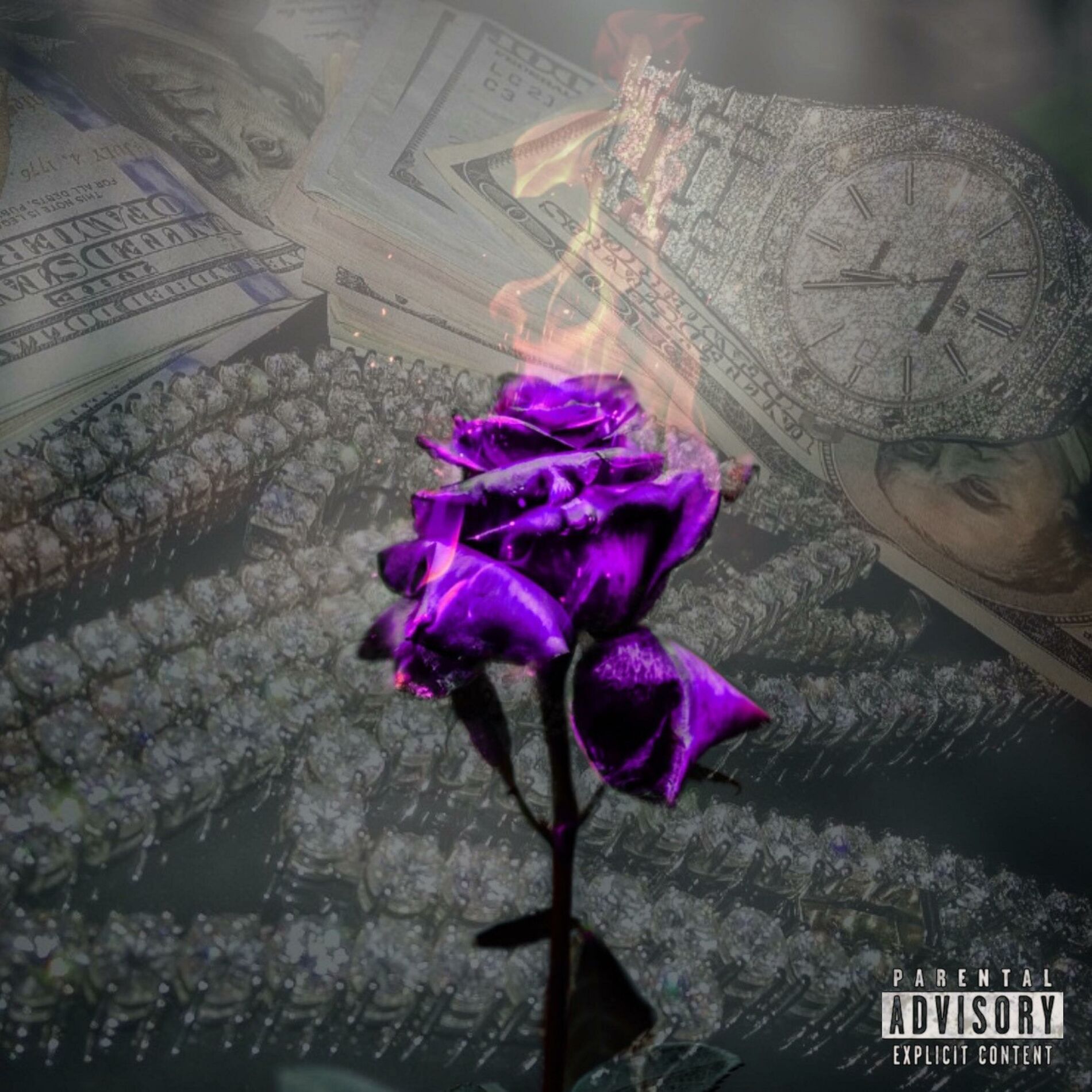 Album cover of Rose: The Introduction