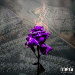 Cover of Rose: The Introduction