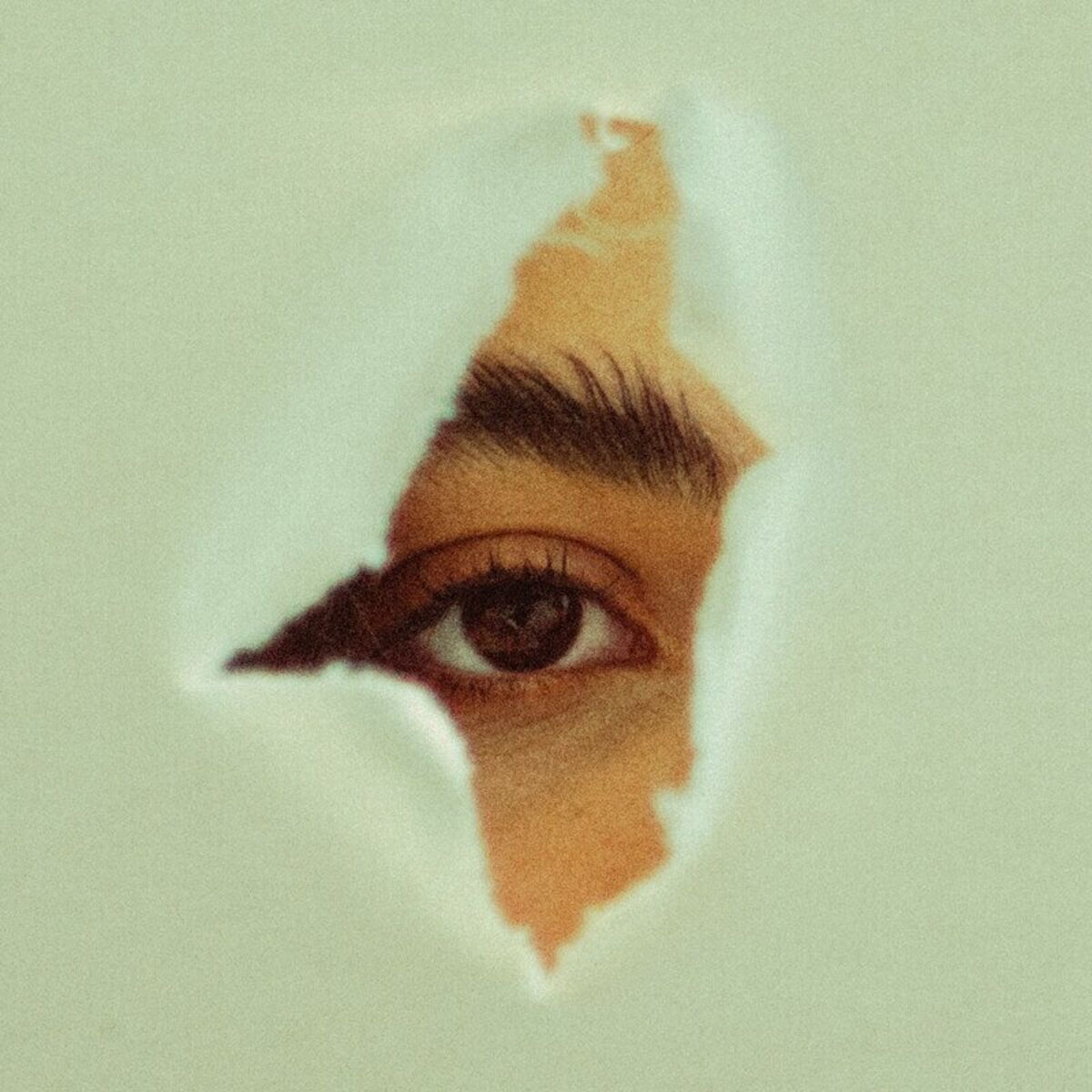 Album cover of dos pés a cabeça