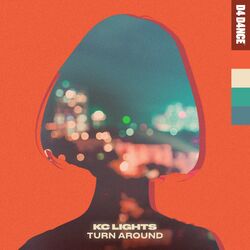 Cover of Turn Around