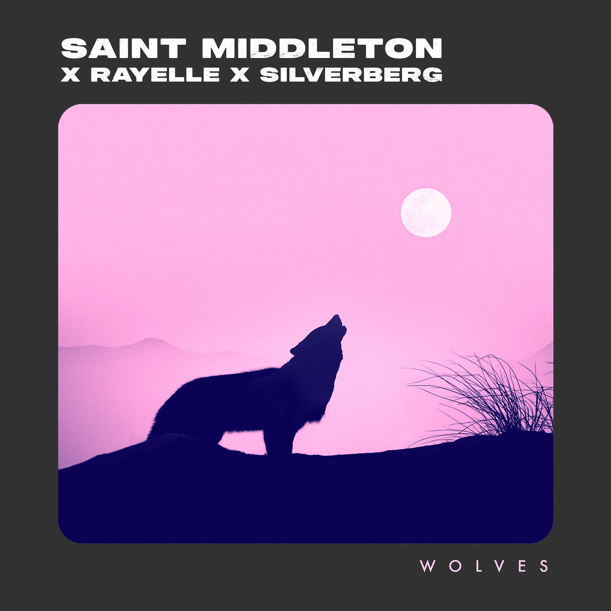 Album cover of Wolves