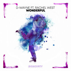 Cover of Wonderful