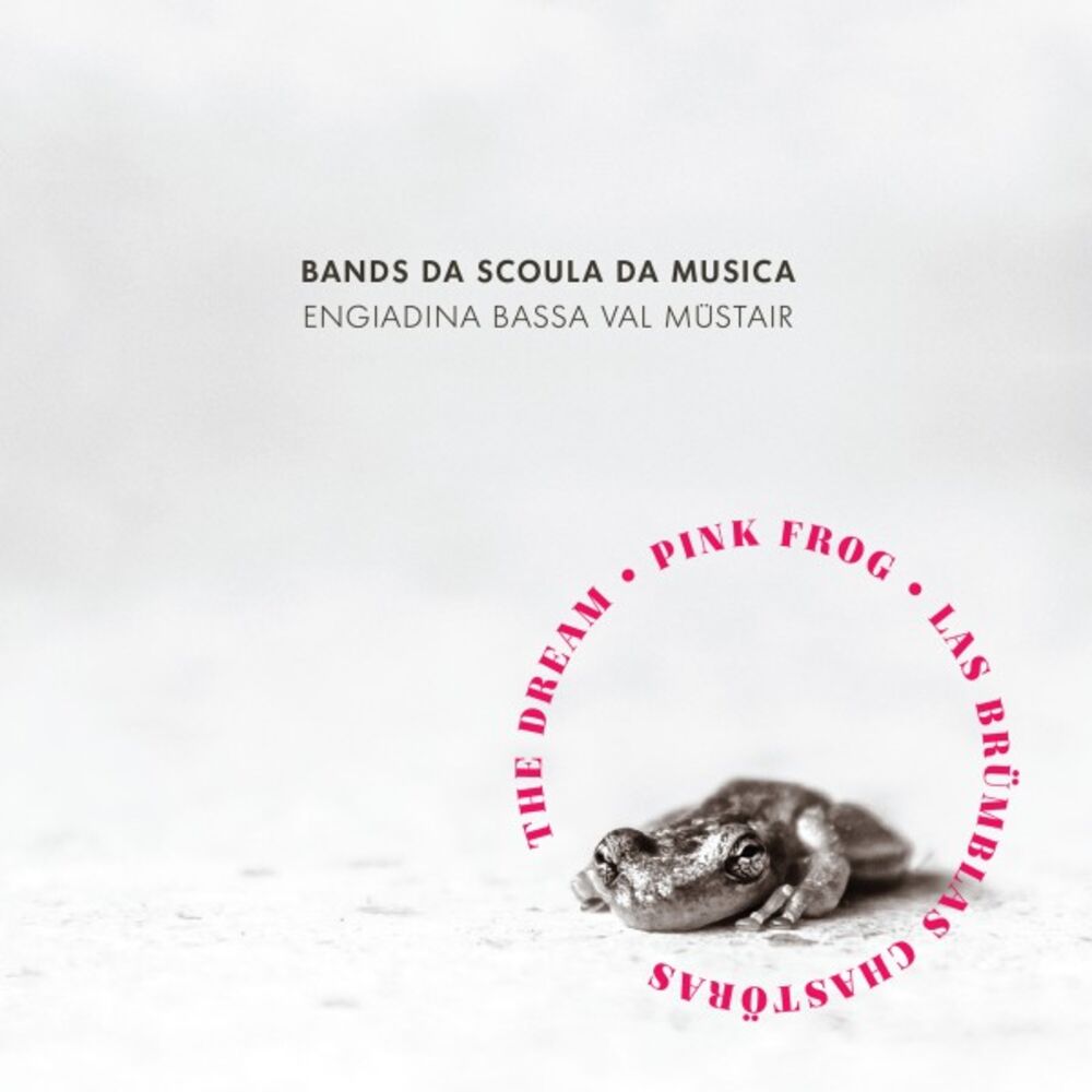 Picture of Engiadina Bassa Val Müstair (Bands da Scoula da Musica)