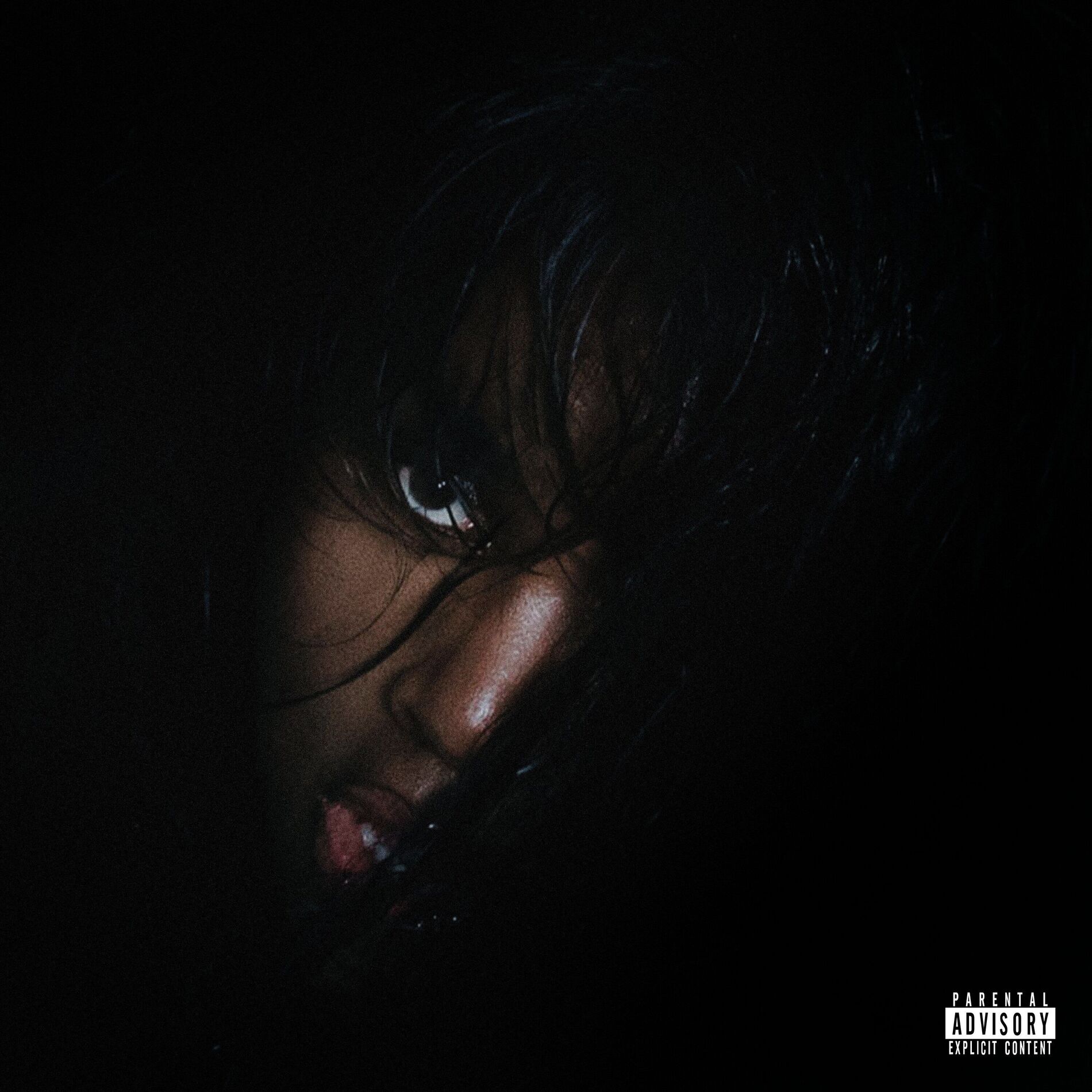 Album cover of MTV