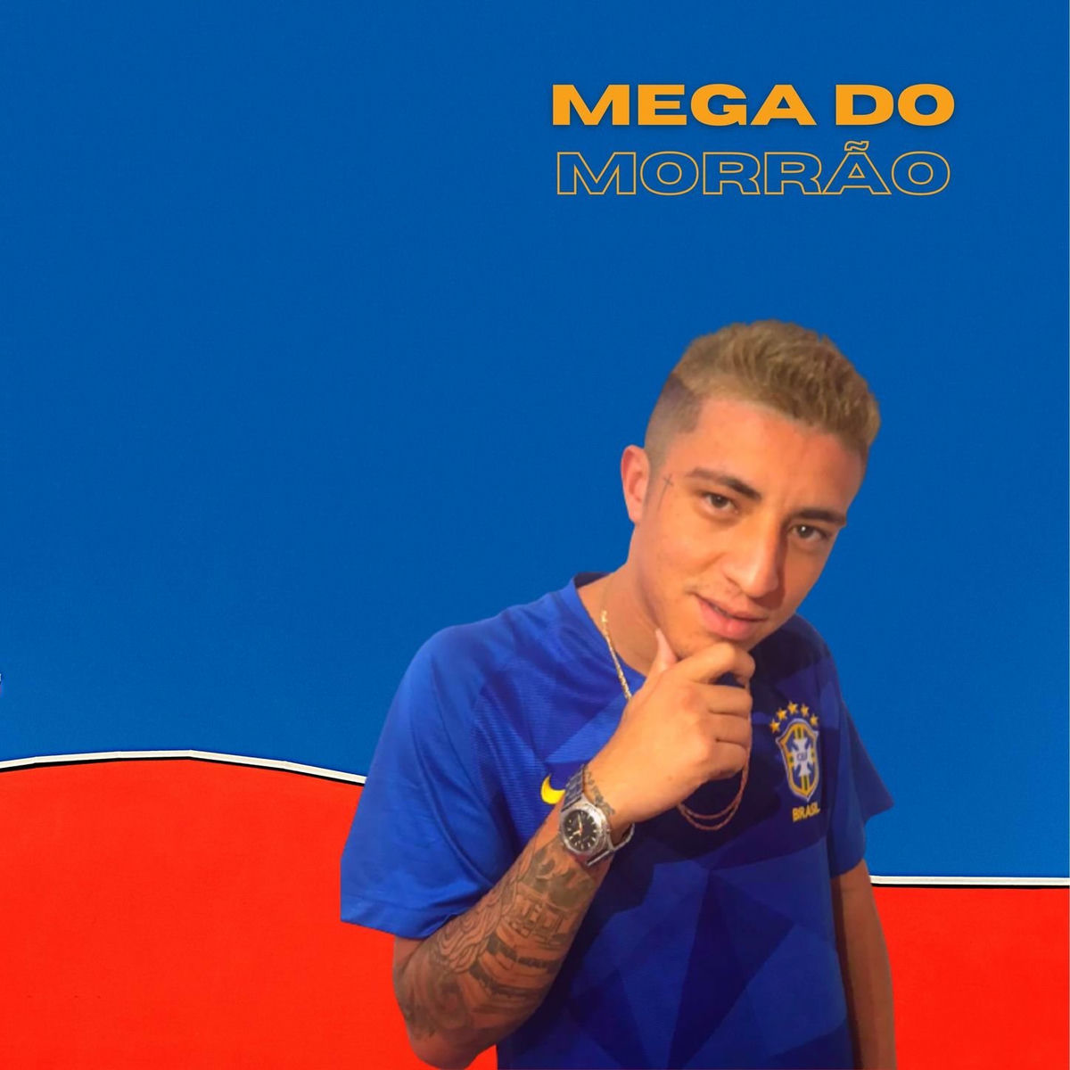 Album cover of Mega do Morrão