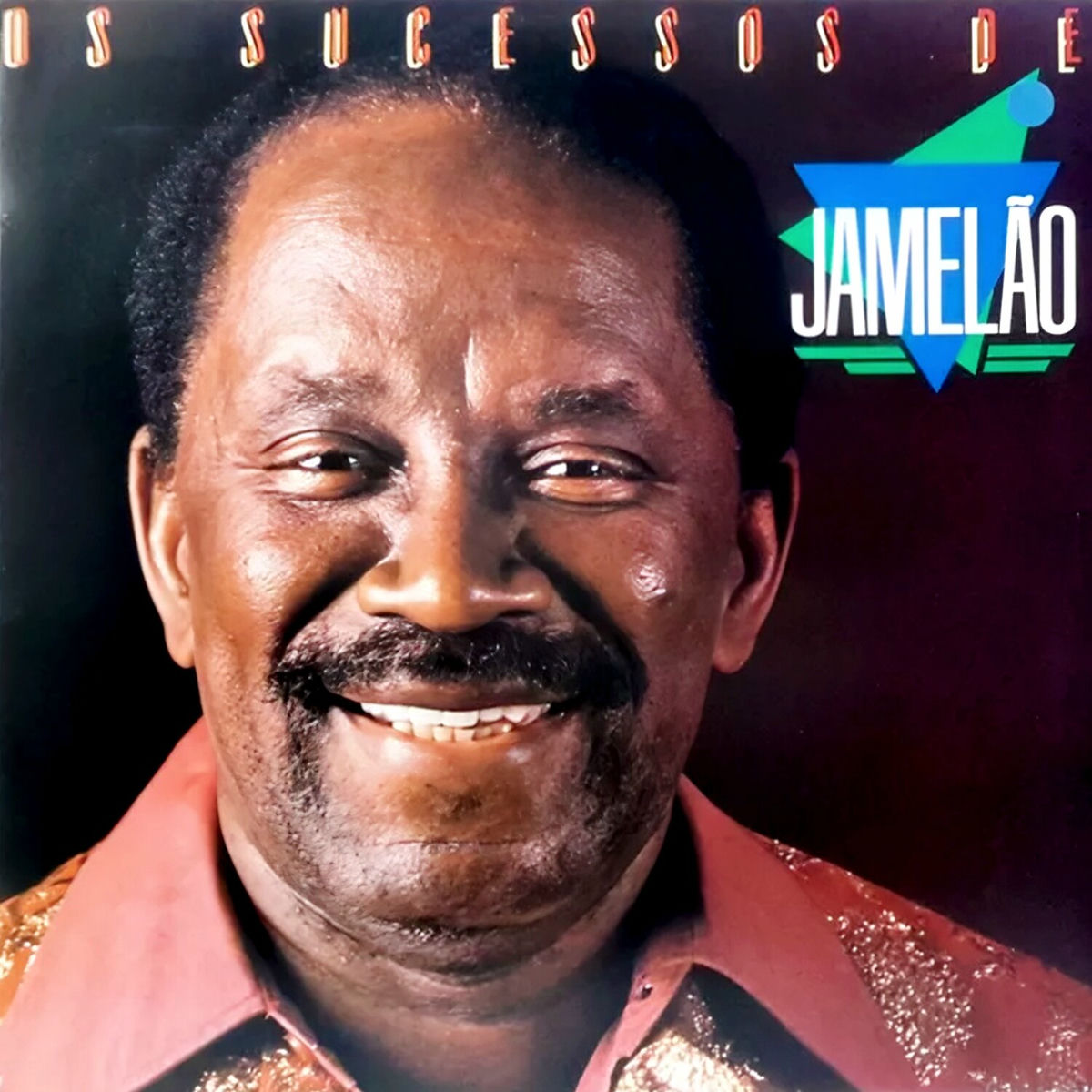 Album cover of Os Sucessos de Jamelão