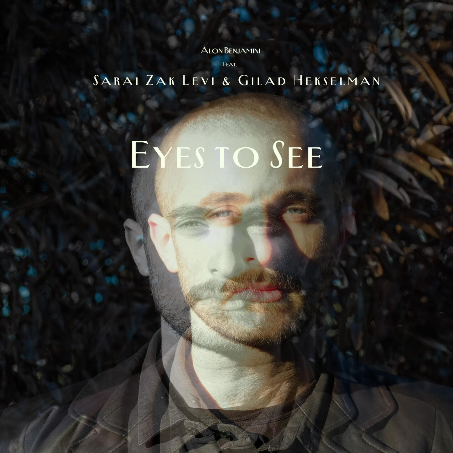 Album cover of Eyes to See (feat. Sarai Zak Levi & Gilad Hekselman)