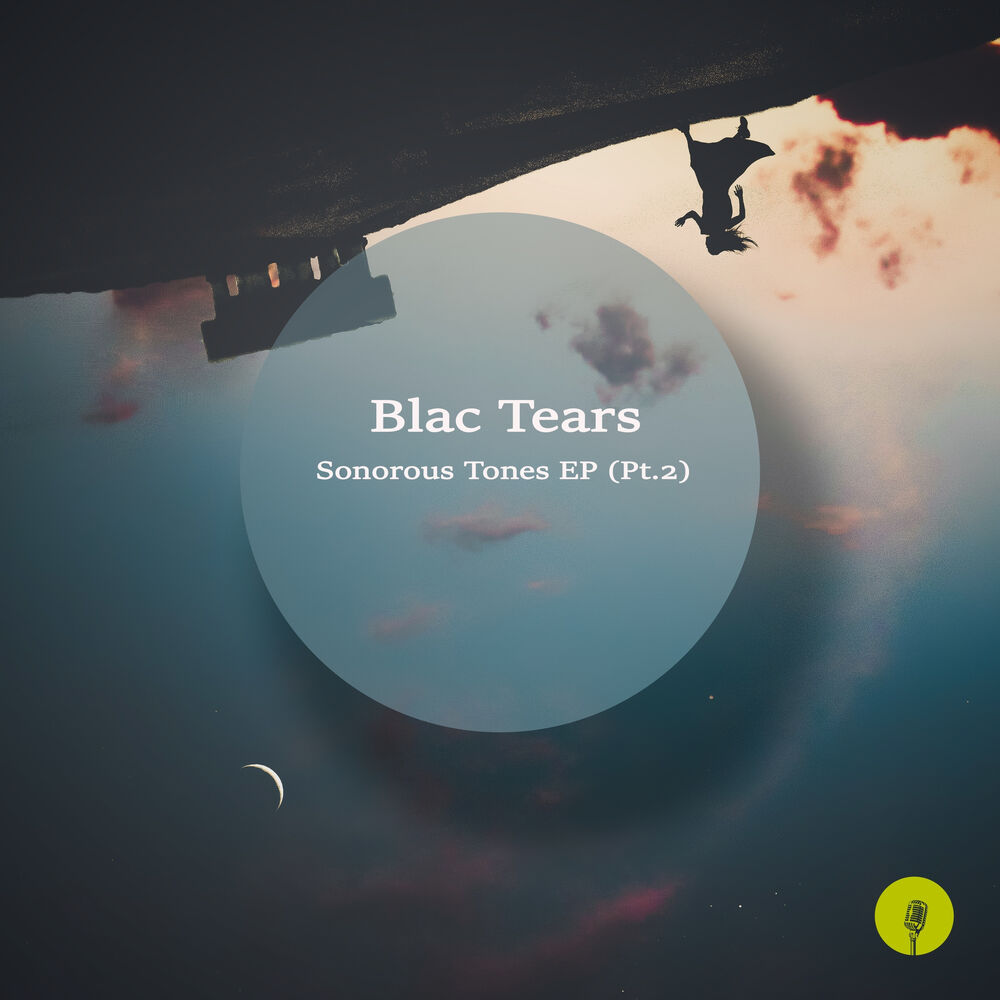 Picture of Sonorous Tones, Pt. 2