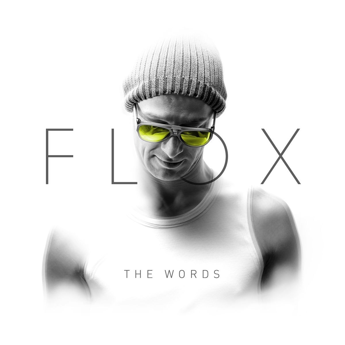 Album cover of The Words