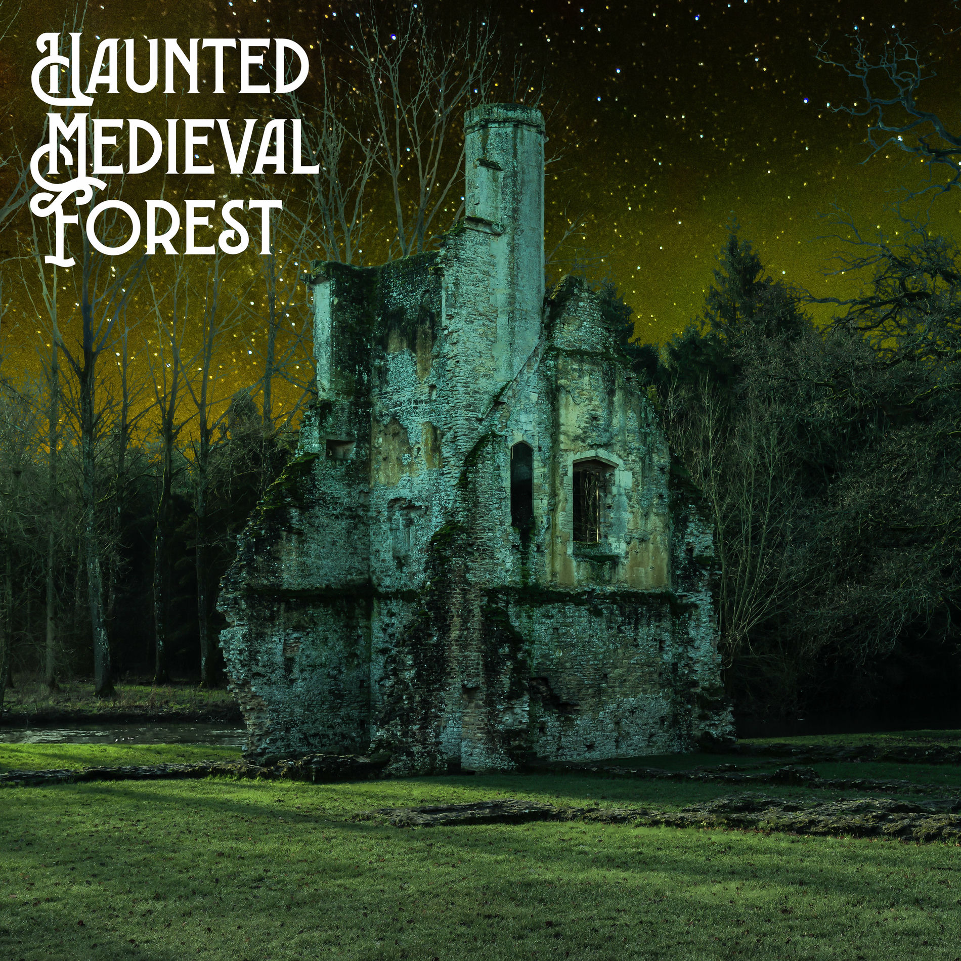 Album cover of Haunted Medieval Forest: Immersive Halloween Experience, Ambient Aesthetic Sounds