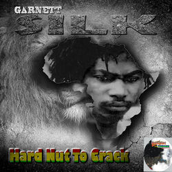 Cover of Hard Nut to Crack