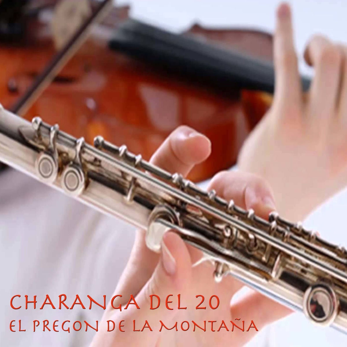 Album cover of El Pregon de la Montaña