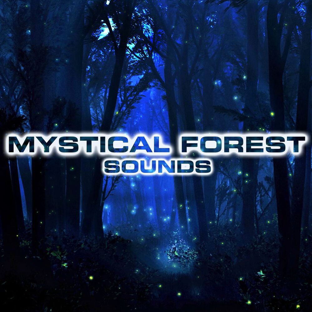 Picture of Mystical Forest Sounds (feat. White Noise Sounds For Sleep, National Geographic Soundscapes, Animals Sounds, White Noise Ambience,