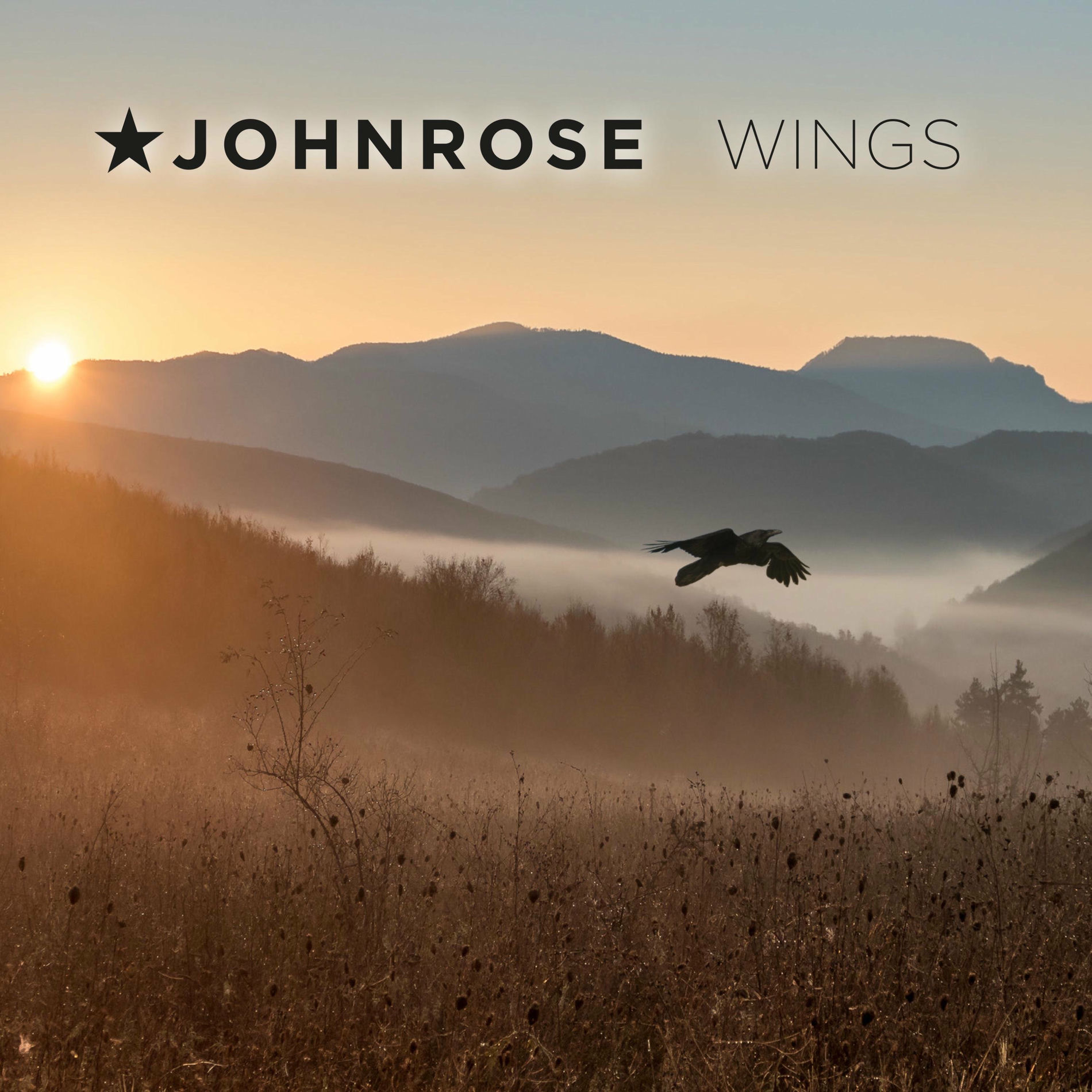 Album cover of Wings