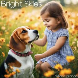 Cover of Bright Skies
