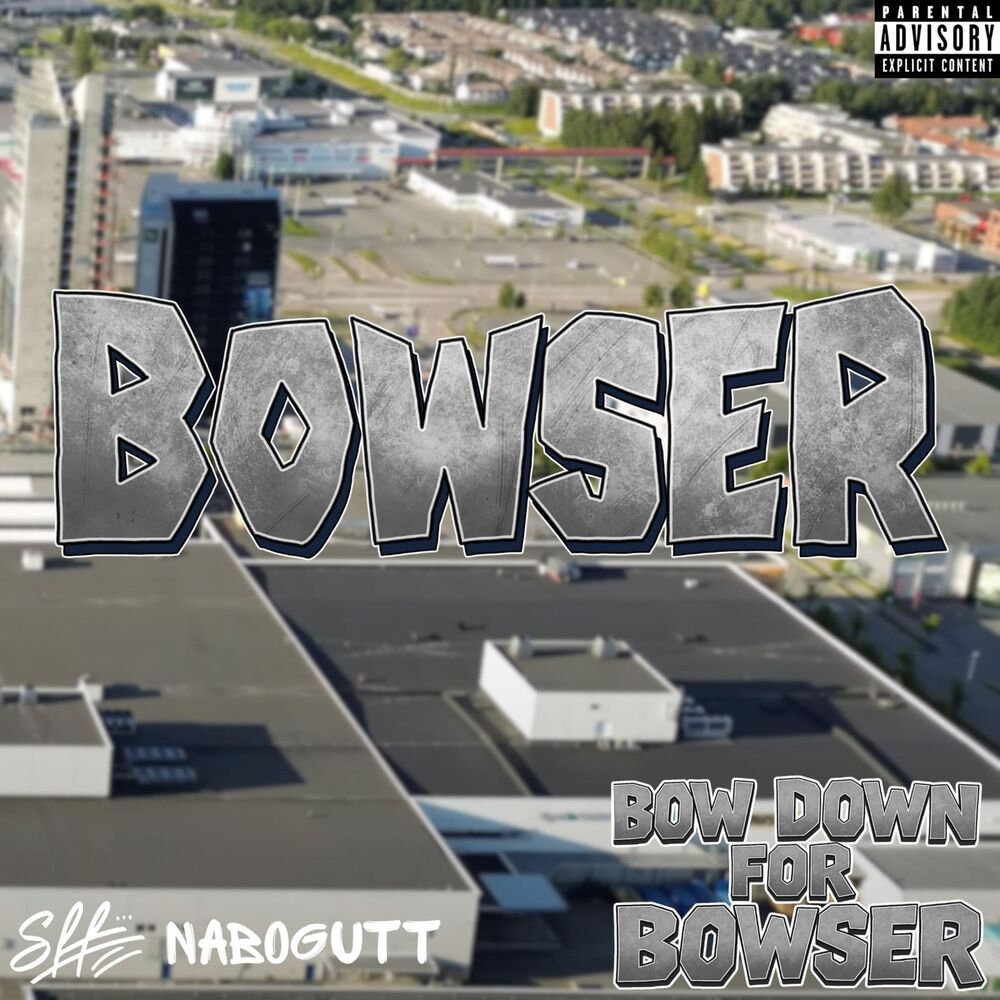 Picture of BOW DOWN FOR BOWSER