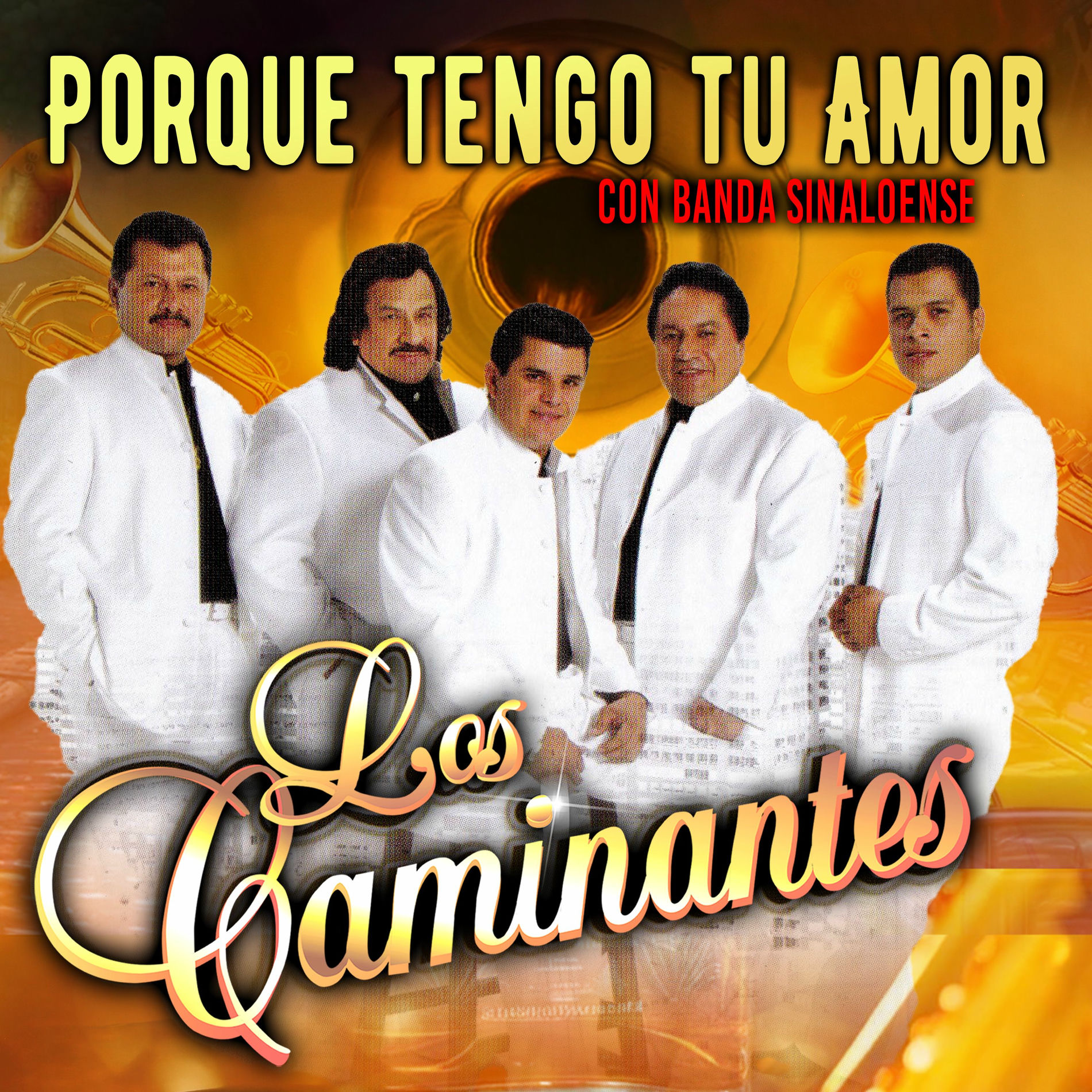 Album cover of Porque Tengo Tu Amor