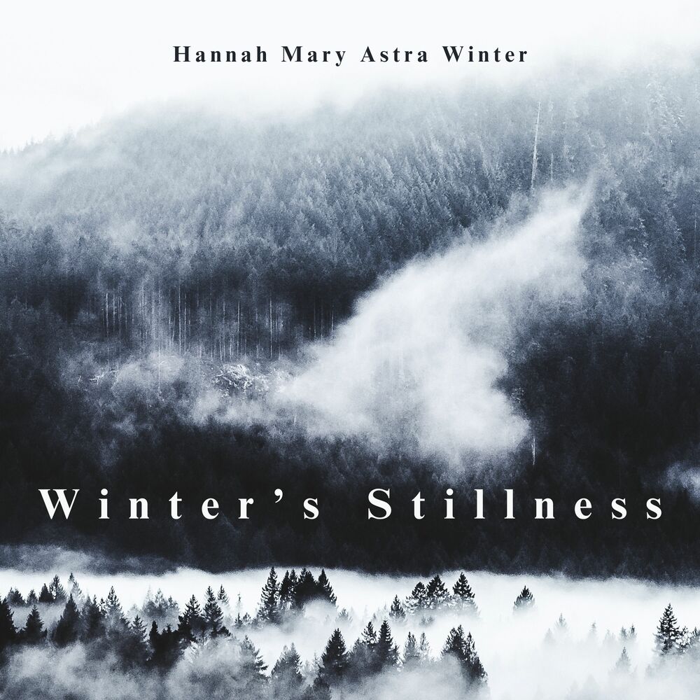 Picture of Winter’s Stillness: White Horizon Glow, Focus