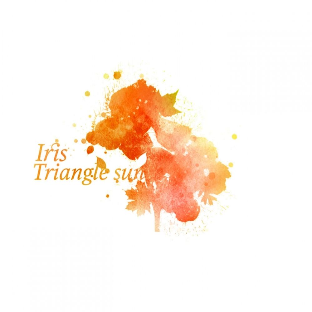 Picture of Iris
