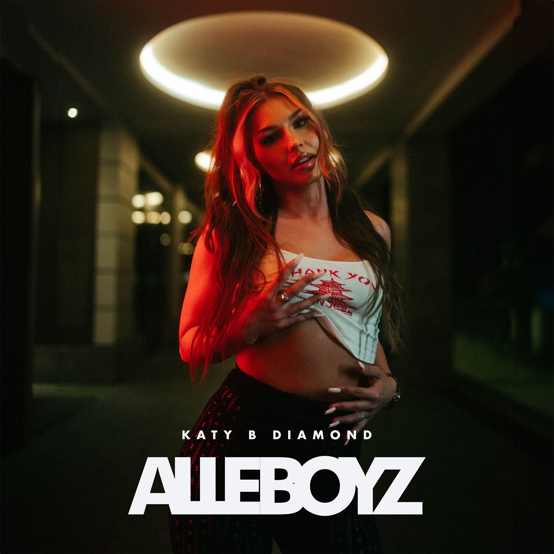 Album cover of Alle Boyz