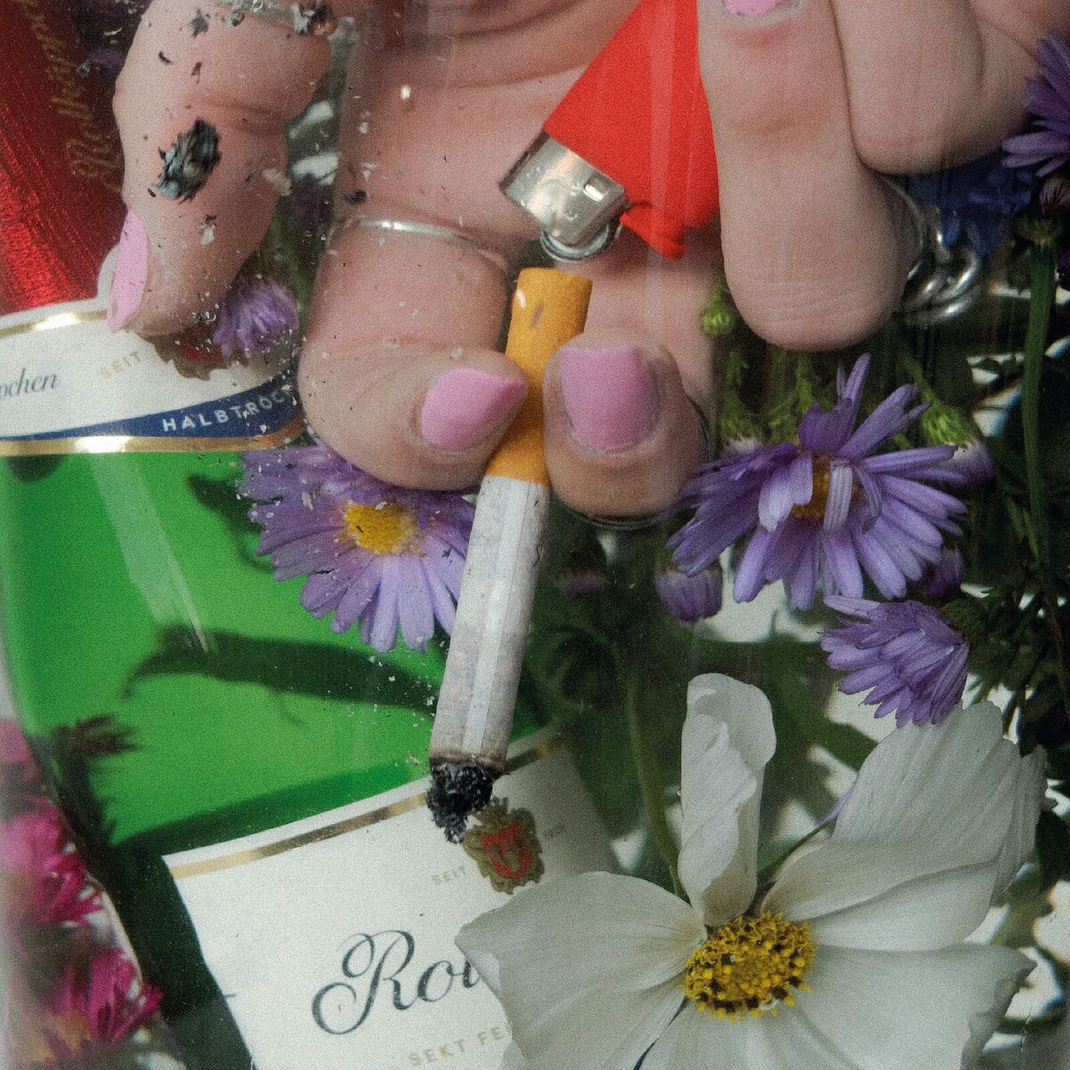 Album cover of Schmetterlinge