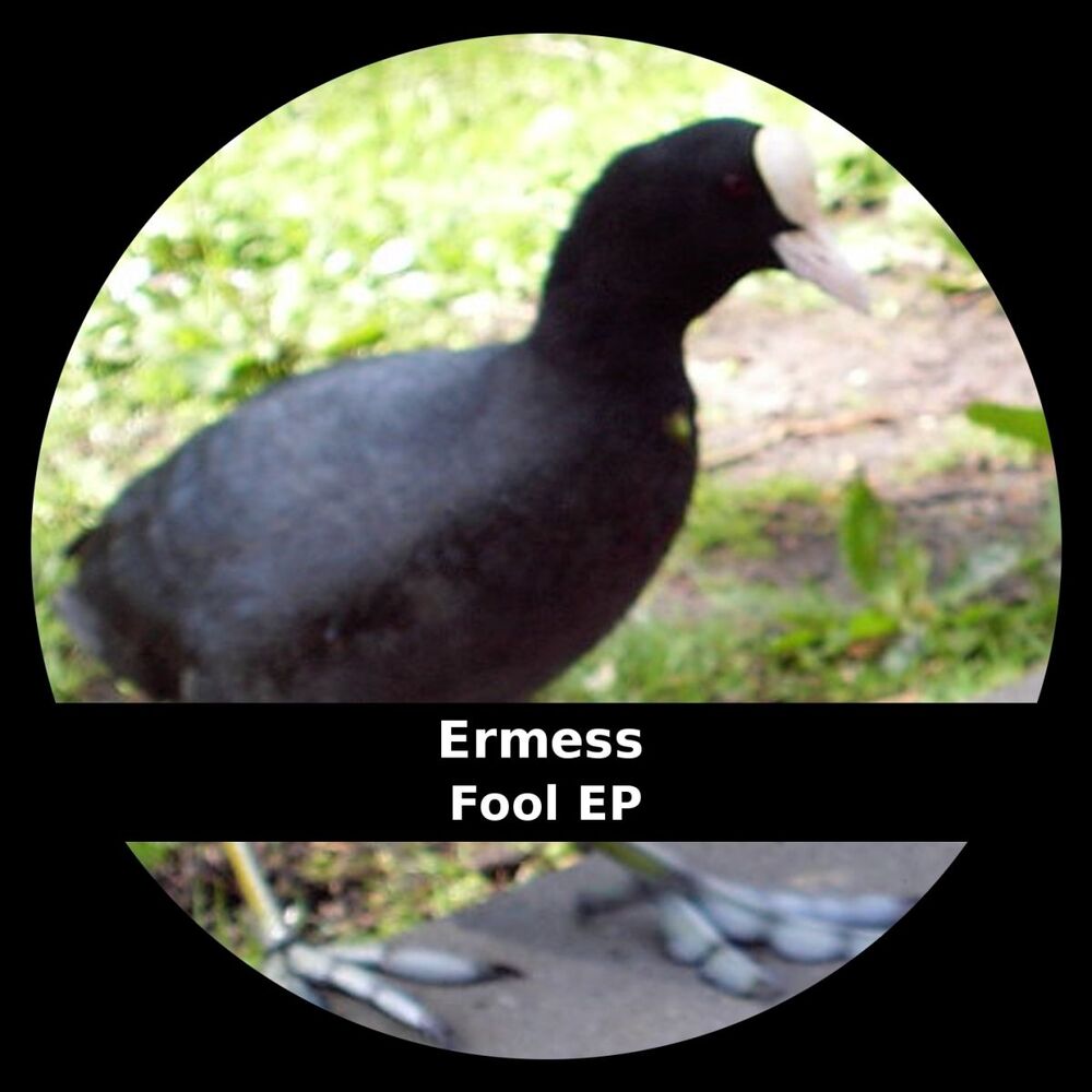 Picture of Fool EP