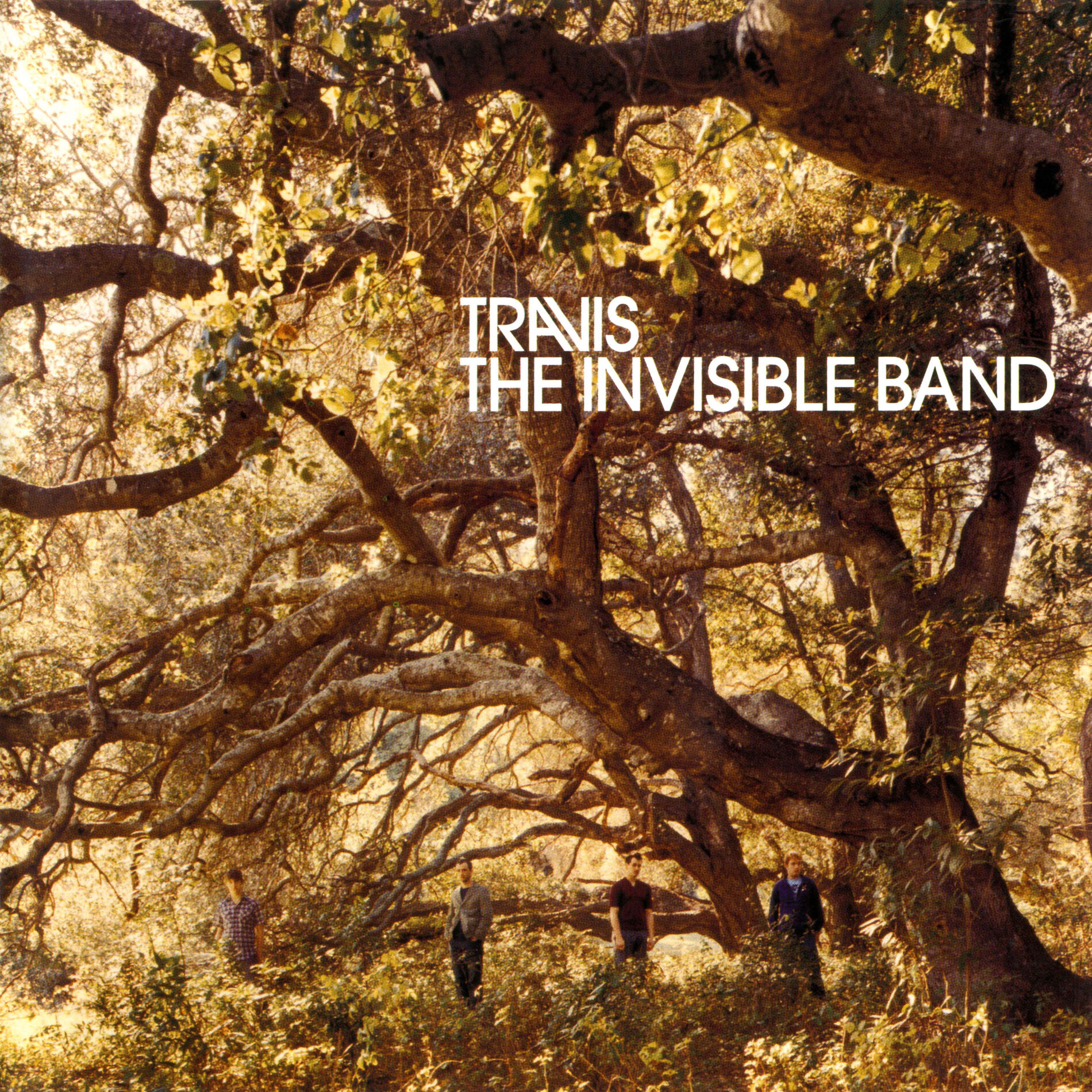 Album cover of Sing