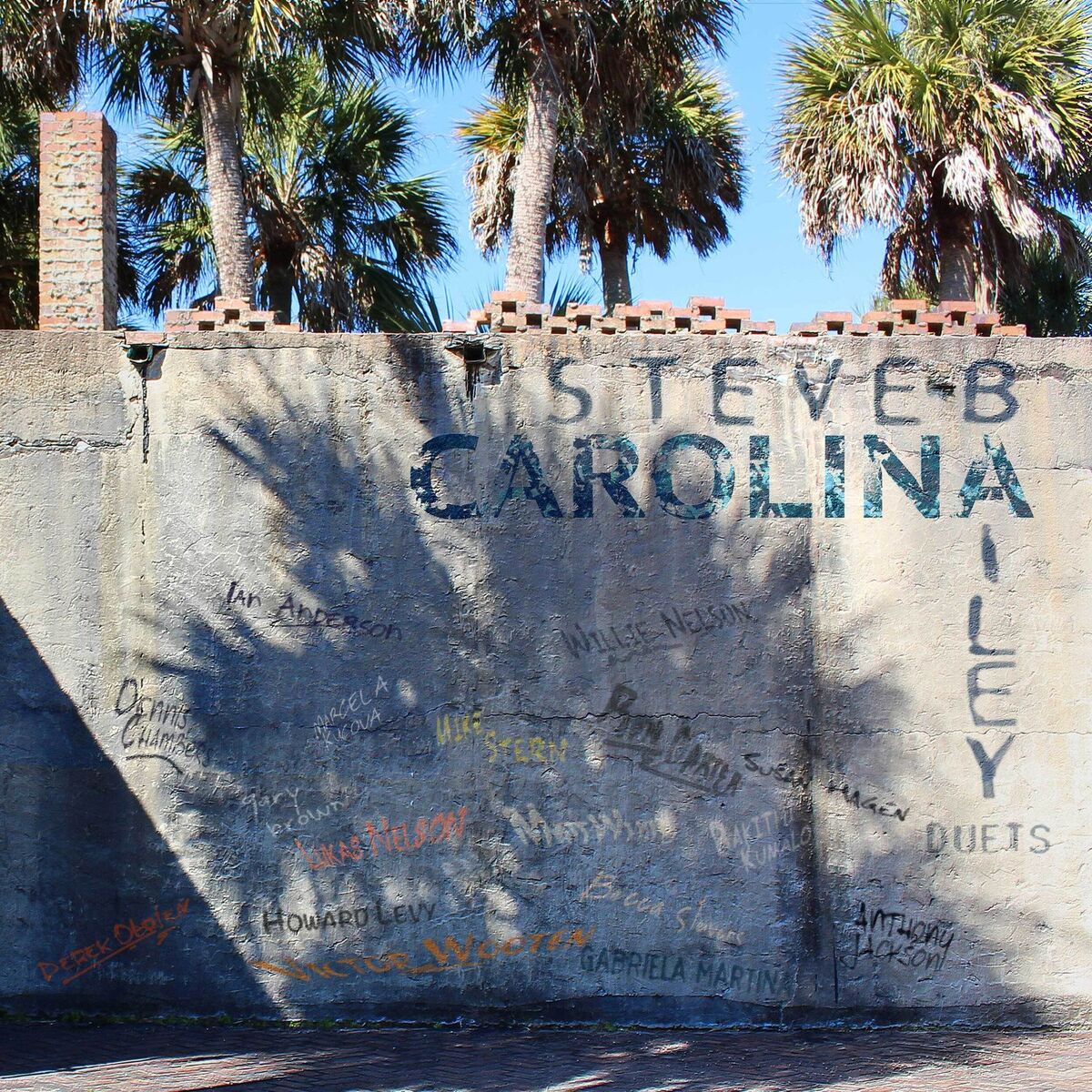 Album cover of Carolina