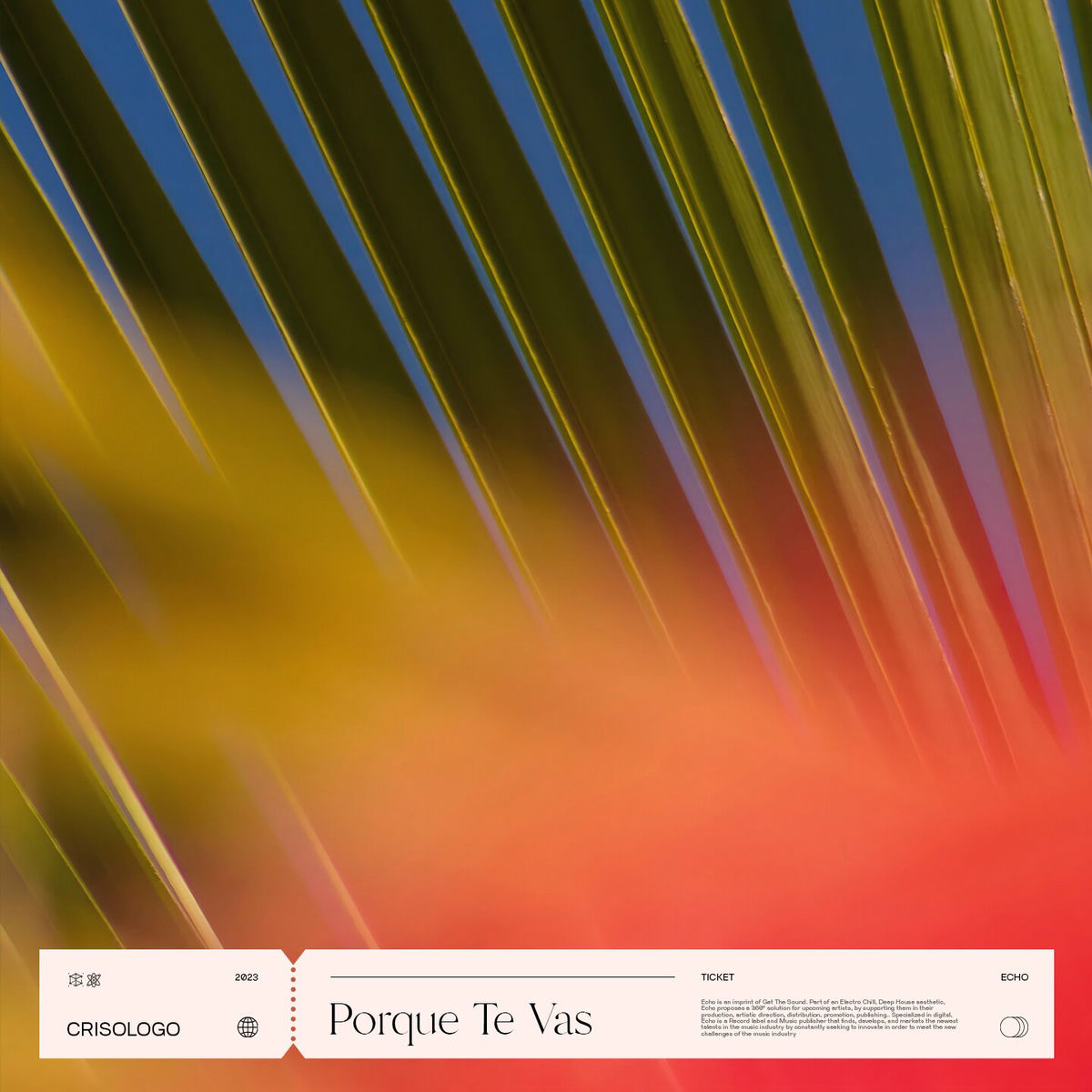 Album cover of Porque Te Vas