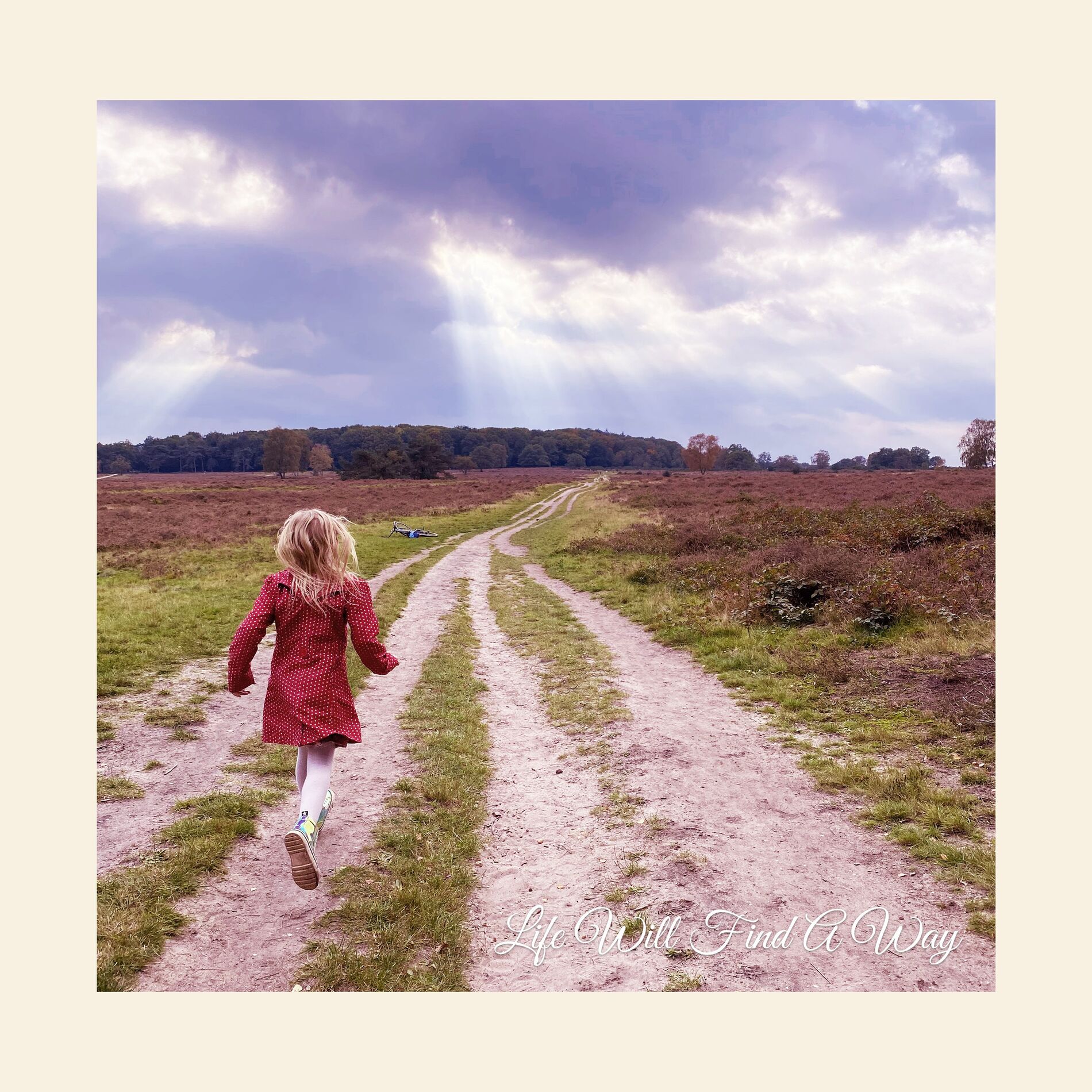 Album cover of Aren't You Meant To Fly