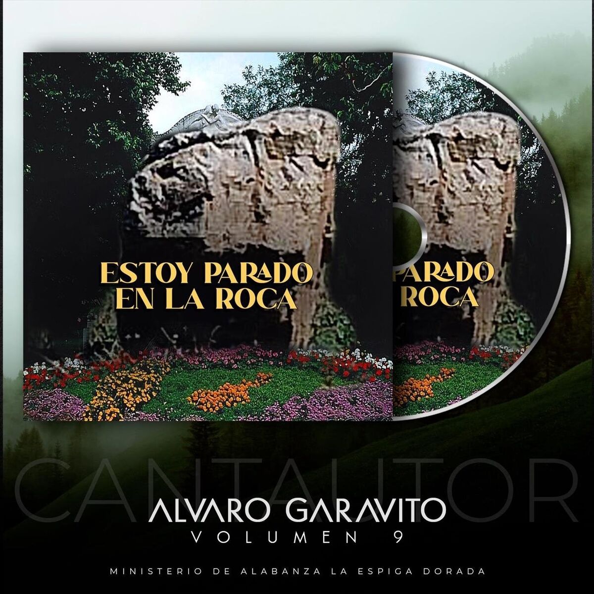 Album cover of Estoy Parado en la Roca