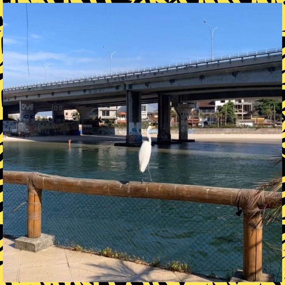 Picture of No Fundo do Oceano