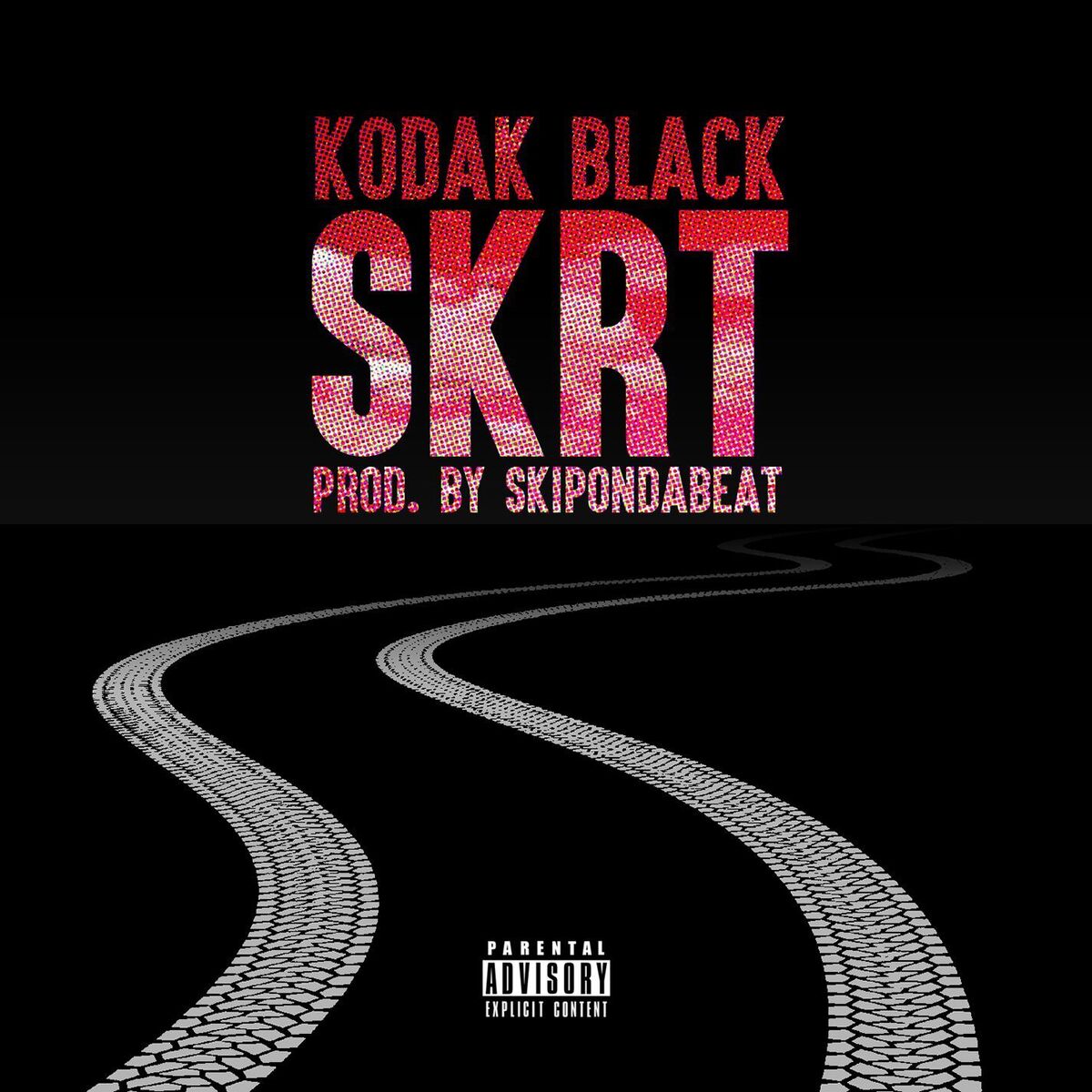 Album cover of Skrt