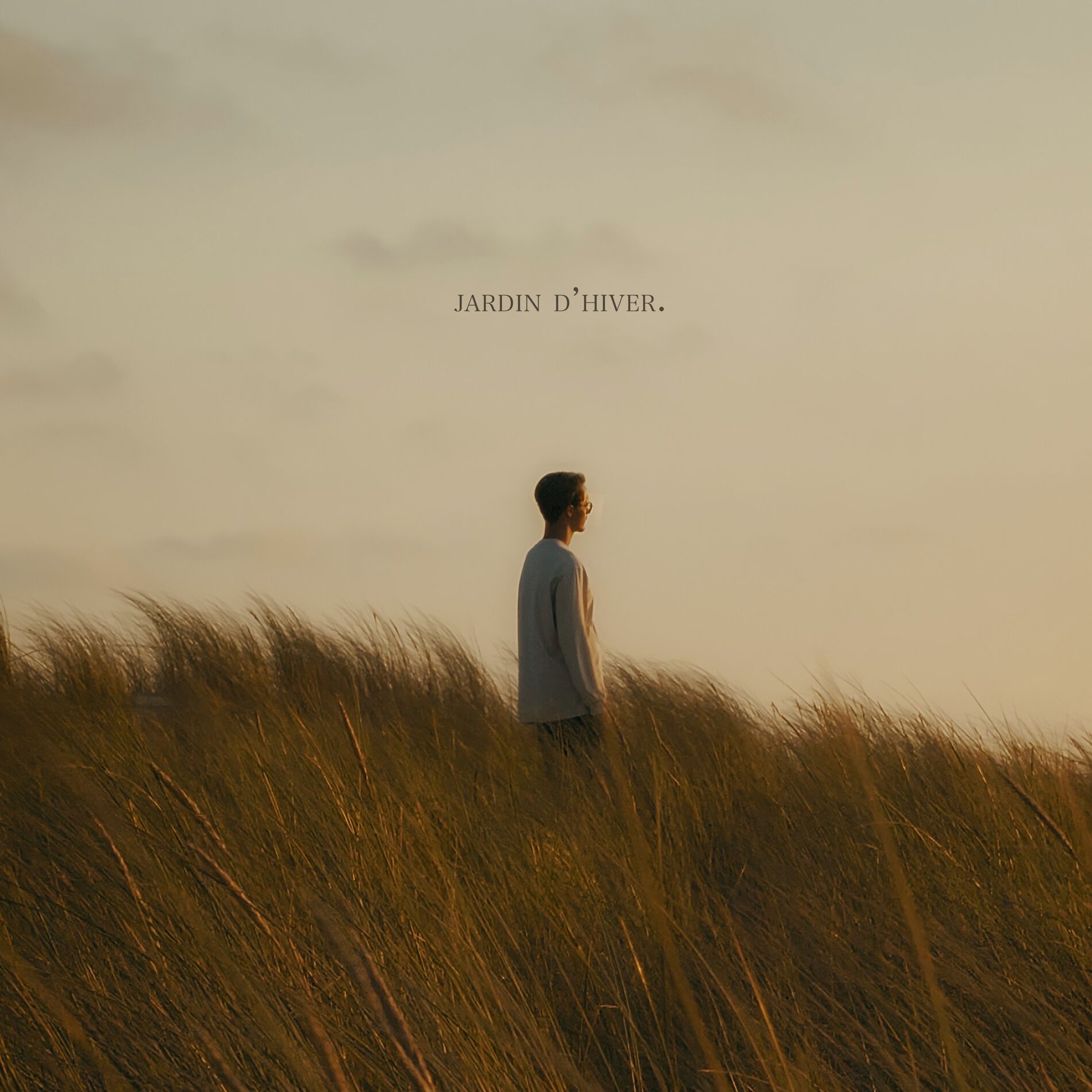 Album cover of jardin d'hiver.