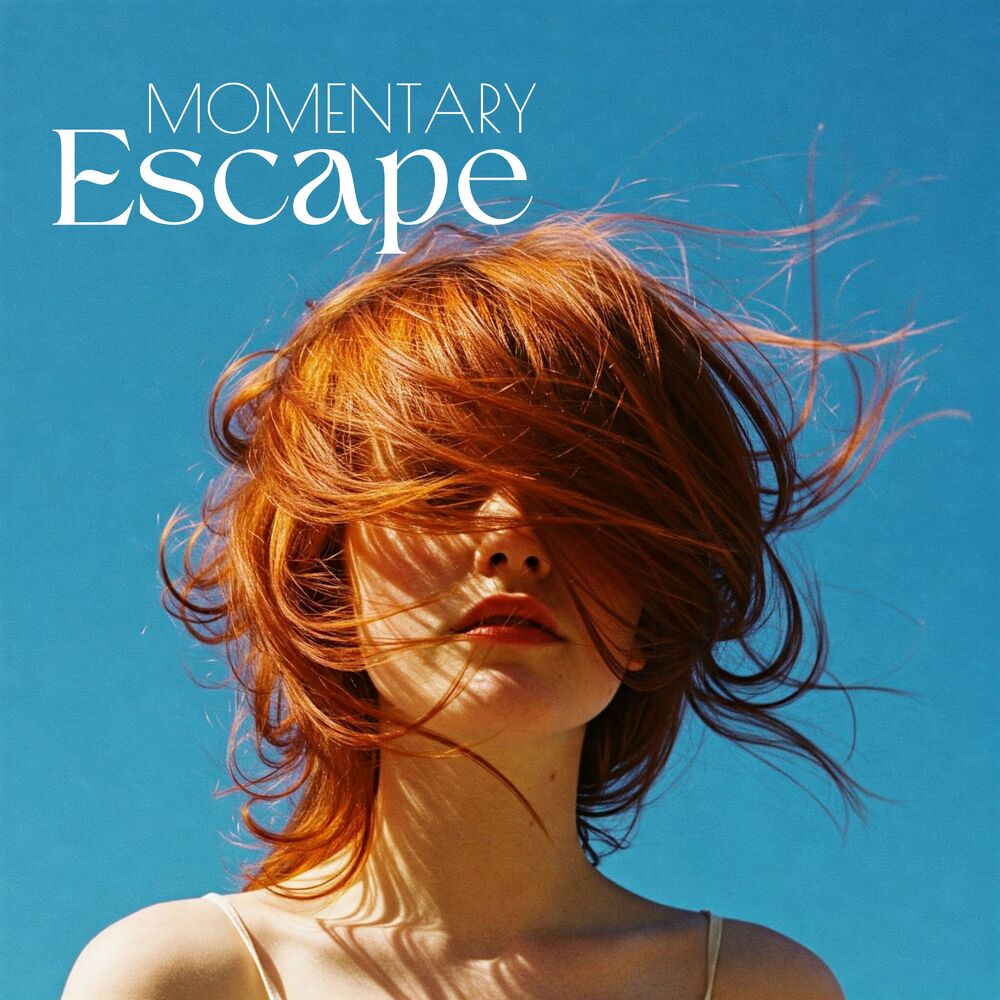 Picture of Momentary Escape: Worries Elsewhere