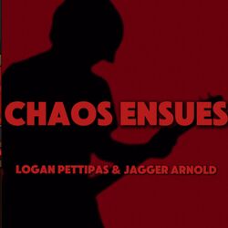 Chaos Ensues (Shadow The Hedgehog)