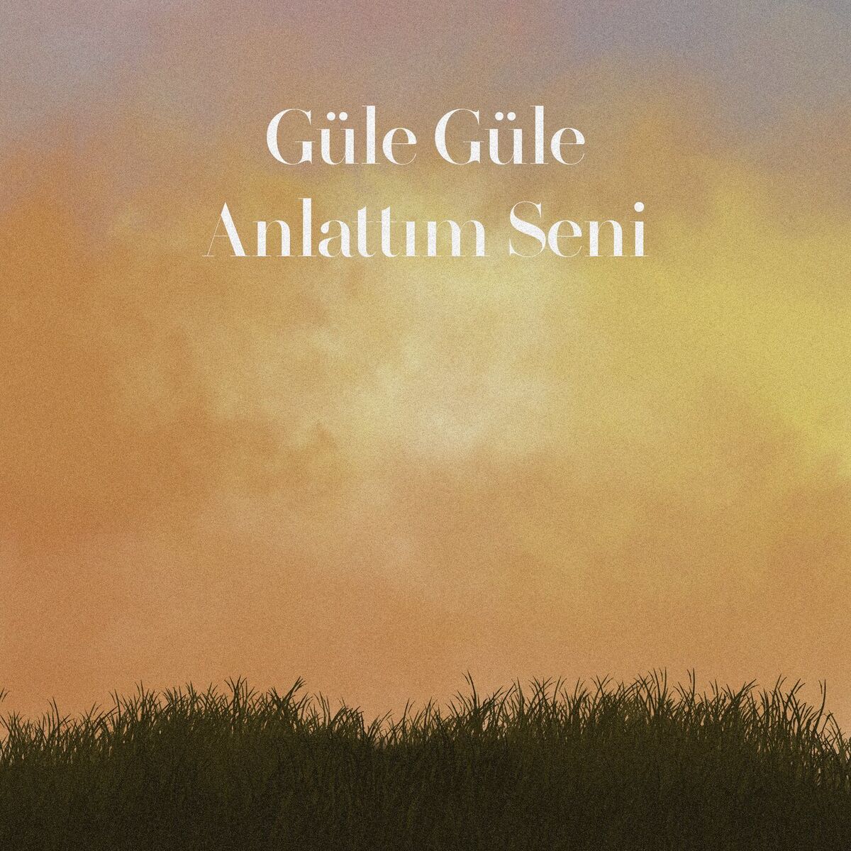 Album cover of Güle Güle Anlattım Seni
