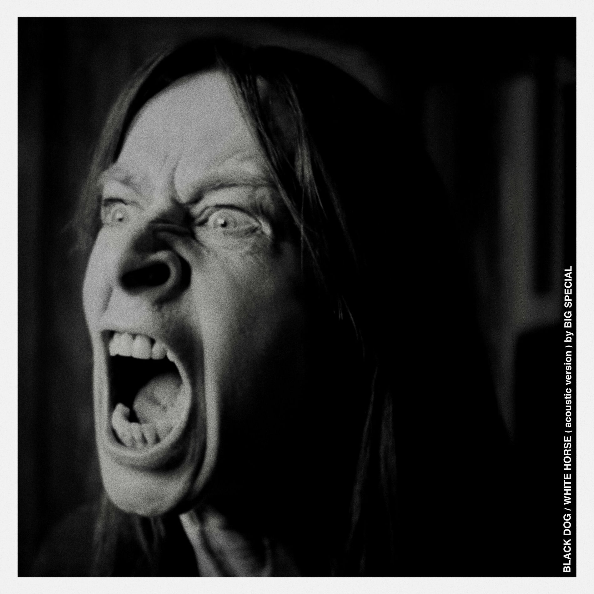 Album cover of Black Dog / White Horse (Acoustic Version)