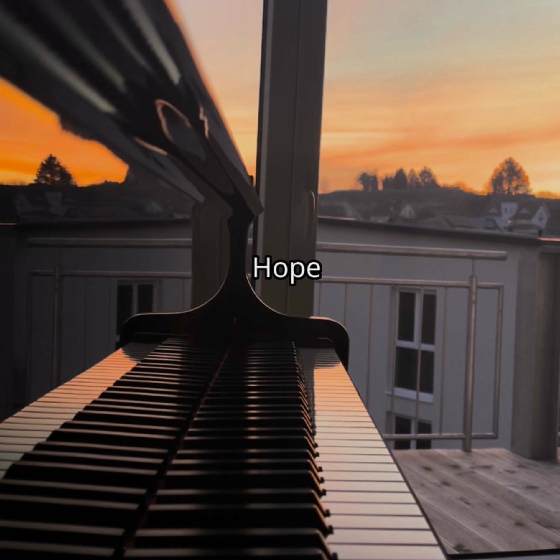 Album cover of Hope