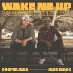 Cover of Wake Me up (Country Version)
