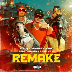 Cover of Remake