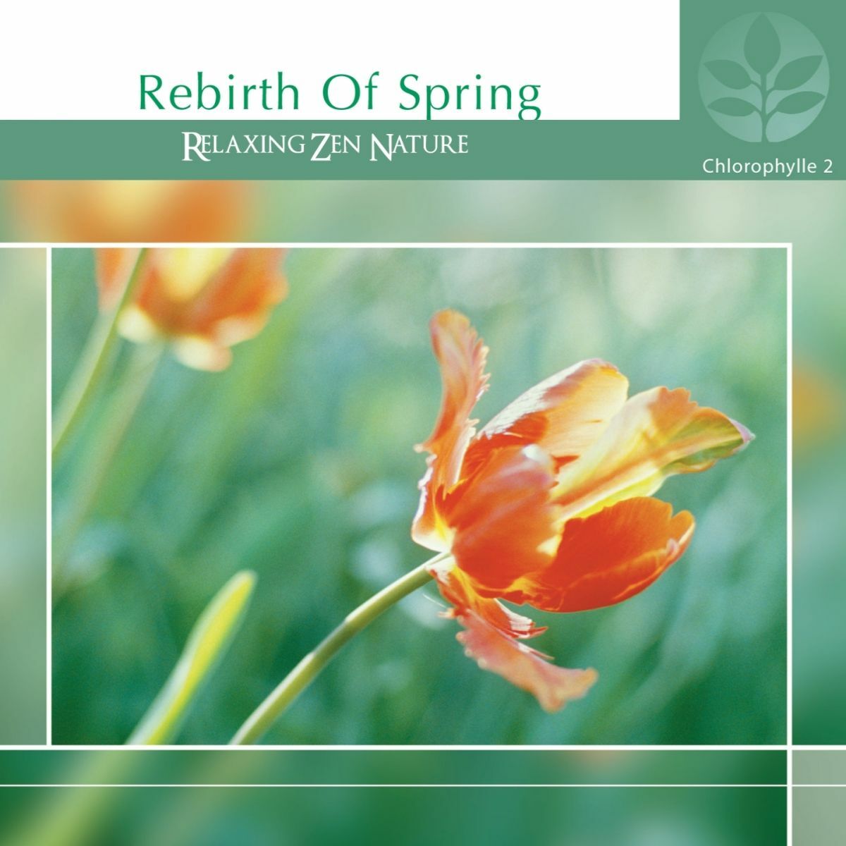 Album cover of Le parfum des pensées