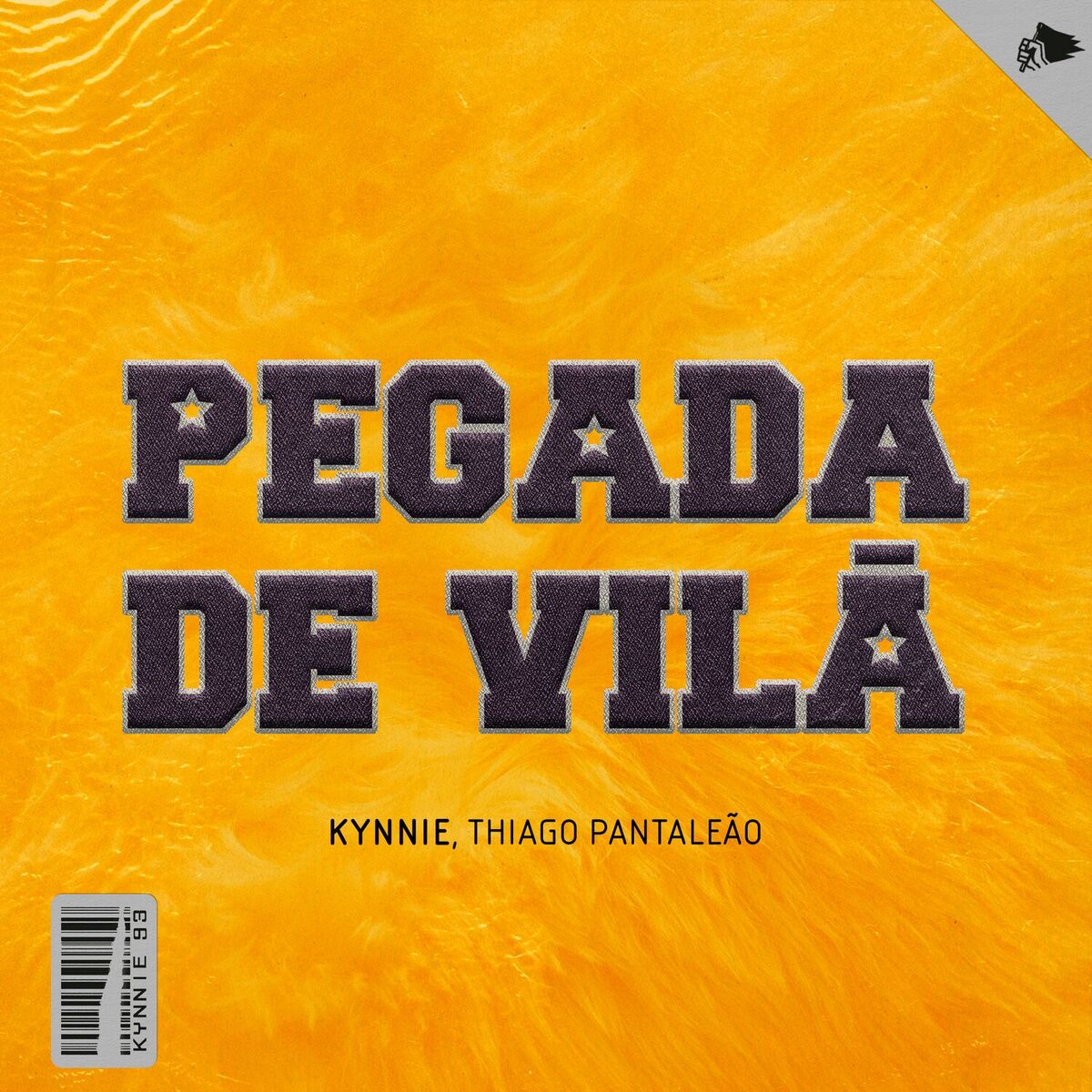 Album cover of Pegada De Vilã