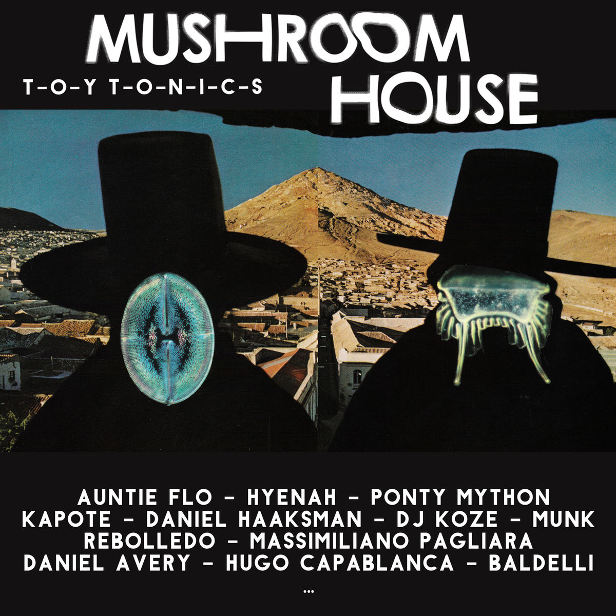 Album cover of Mushroom House