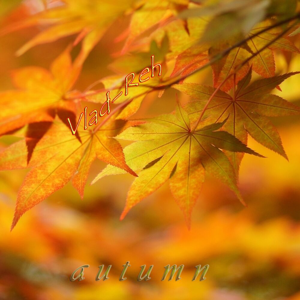 Picture of Autumn