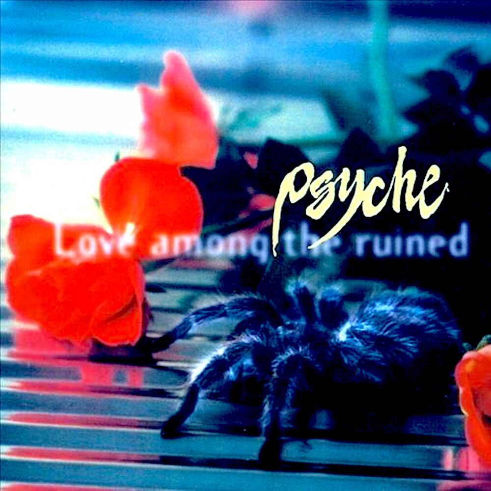 Picture of Love Among the Ruined (Special Edition)