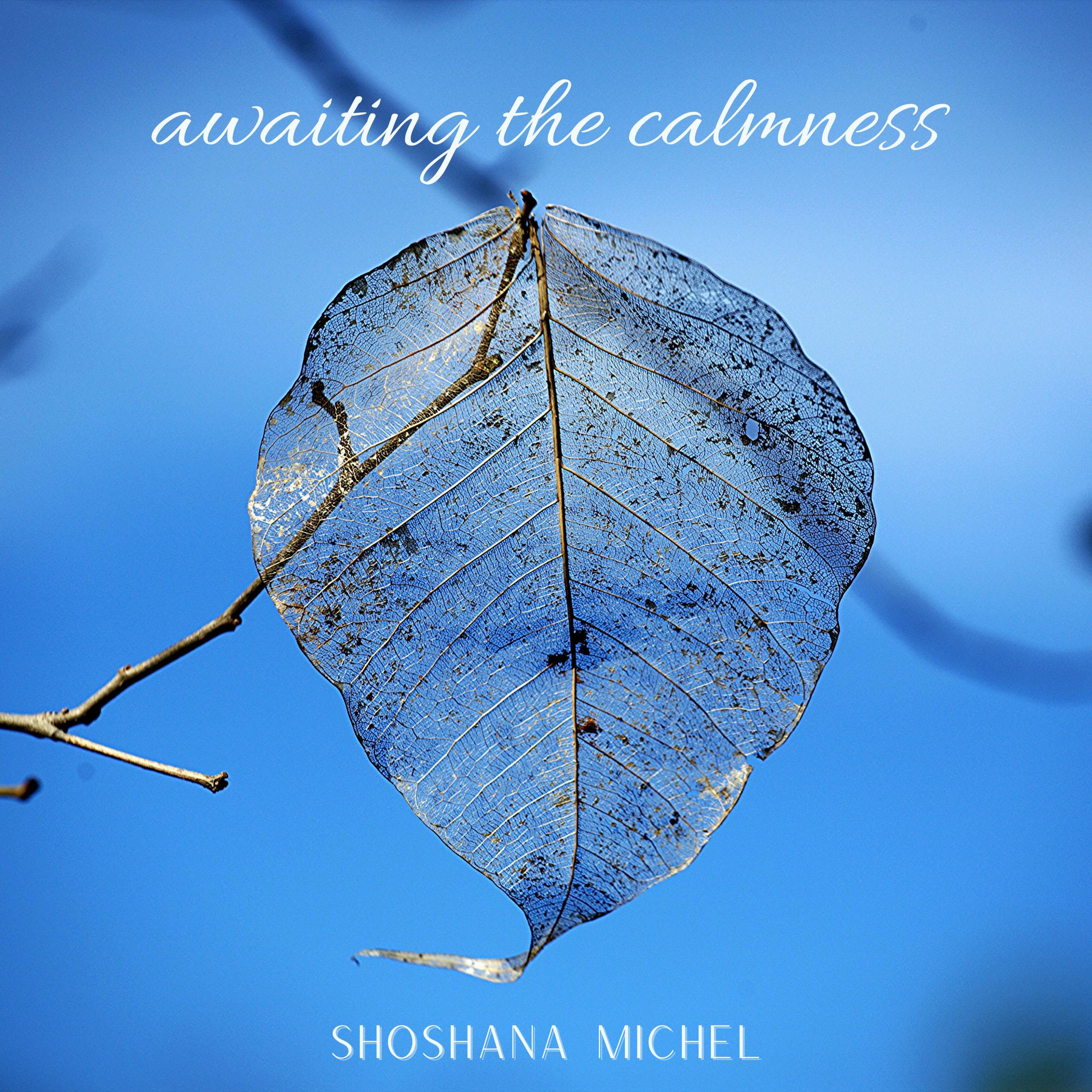 Album cover of Awaiting the Calmness