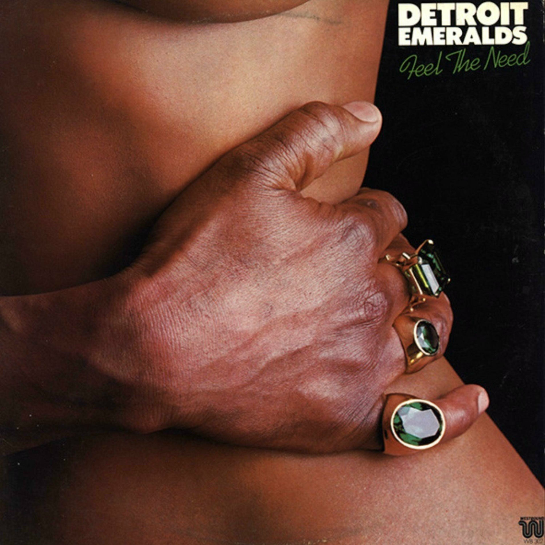 Album cover of Feel The Need In Me