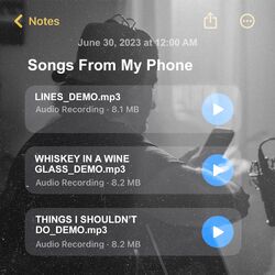 Cover of Songs From My Phone